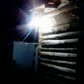 Фото: Дача с домом из бревна