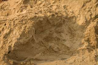 Объявление с Фото - Речной песок