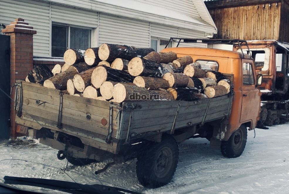 Фото: Сухие дрова