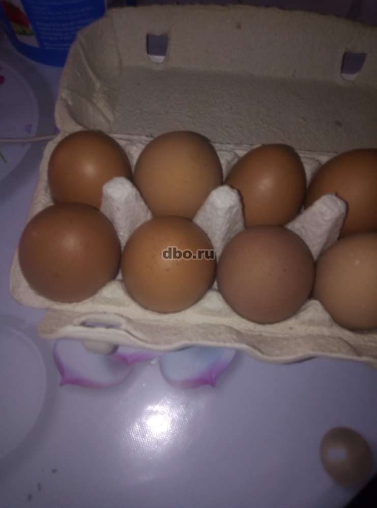 Фото: Яйцо куриное