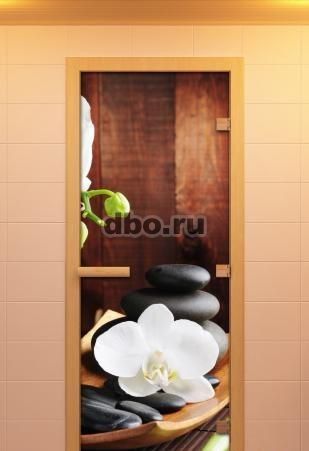 Фото: Эффектные деревянные и стеклянные двери для бань