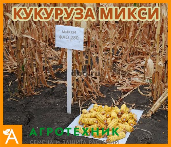 Фото: Семена кукурузы Микси ФАО 280