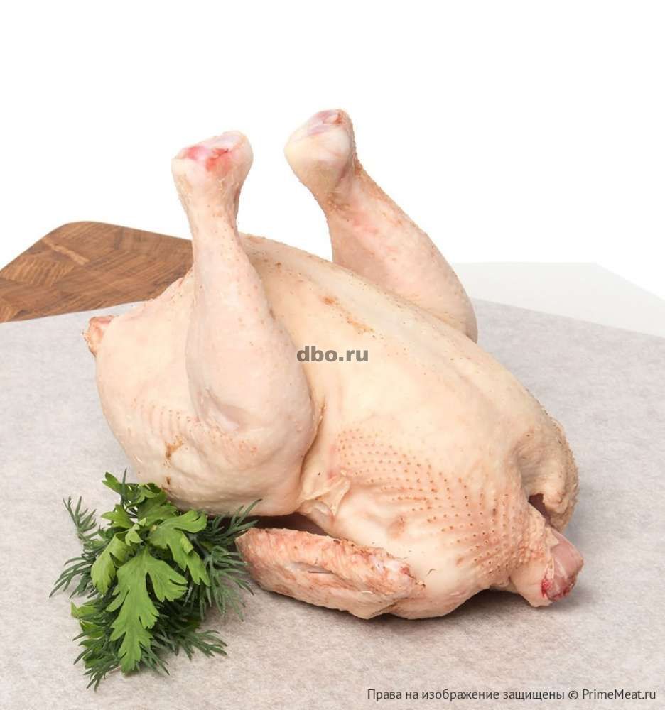 Фото: Мясо домашнего цыплёнка
