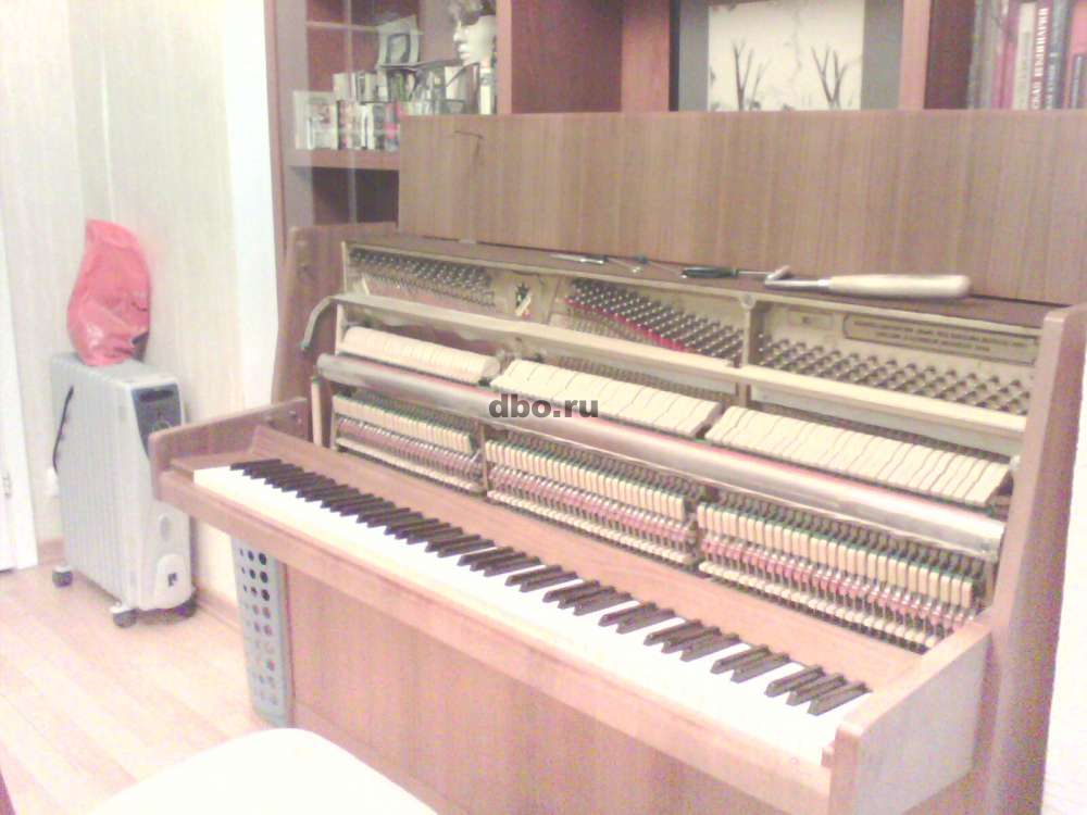 Фото: Настройка фортепиано (пианино и роялей)