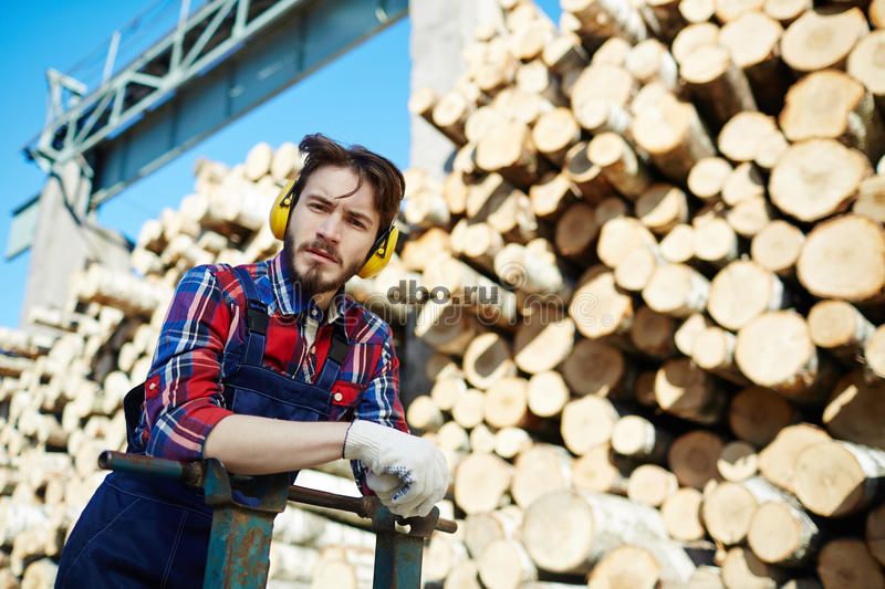 Фото: Рабочий на распиловку дров