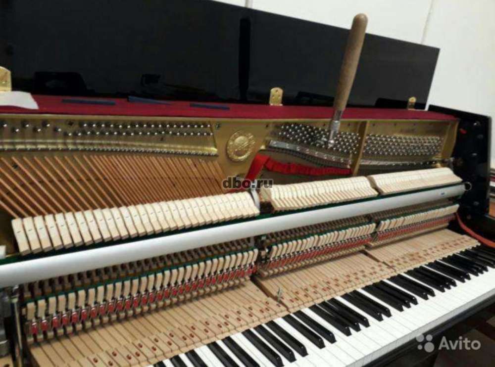 Фото: Настройка и ремонт пианино, фортепиано, рояля