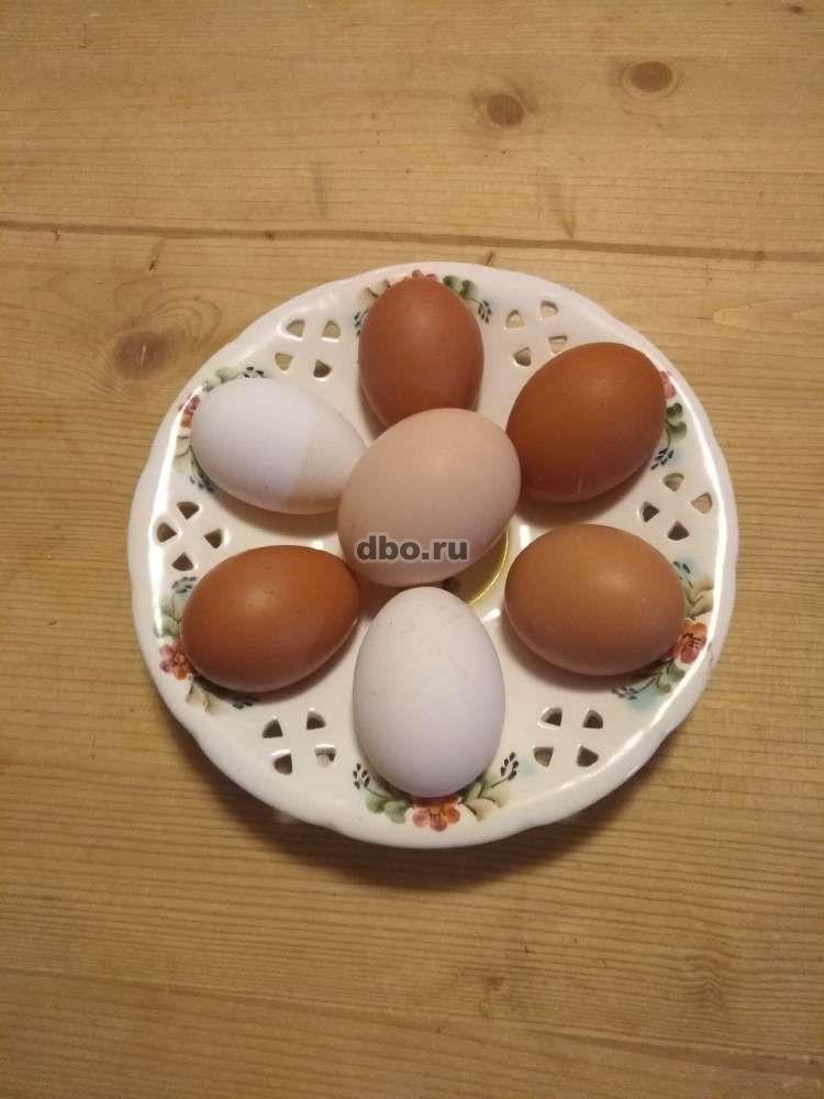 Фото: Яйца домашние