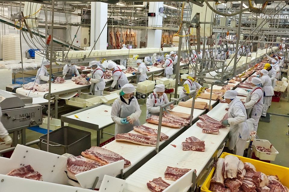 Фото: Упаковщики вахта мясное производство