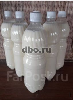 Фото: Молоко коровье(домашнее)розлив тара v-1л