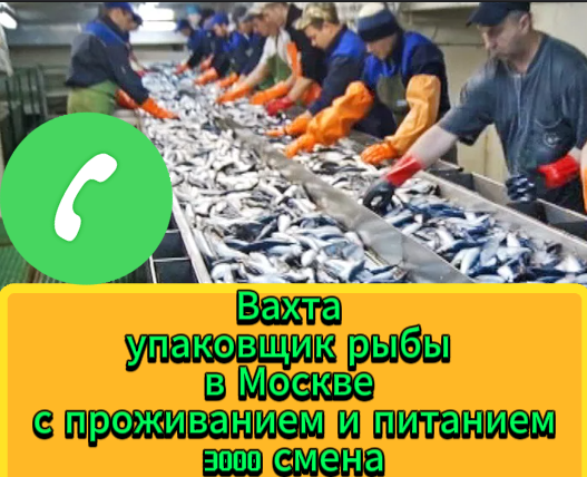 Фото: Упаковщик рыбы в Москве с проживанием и питанием