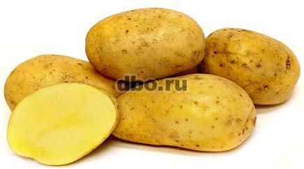 Фото: Семенной картофель из Беларуси. Картофель Бриз