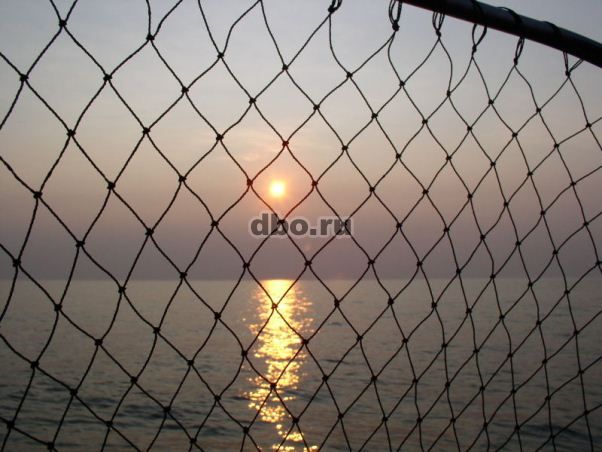 Фото: Посадка рыболовных сетей